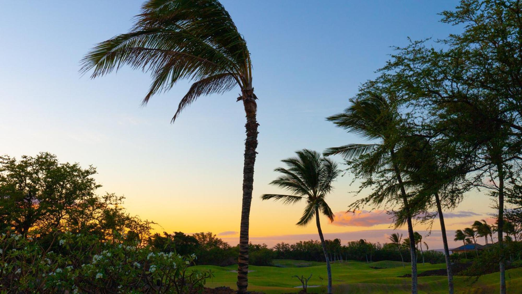 Hawaii Roma Elevated 4Br Kamilo Home With Golf Course View Waikoloa Exterior photo