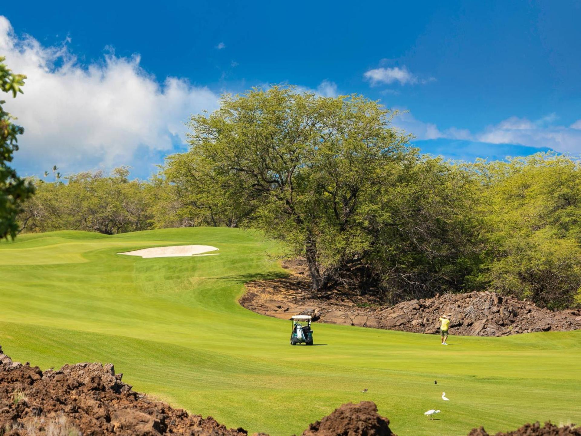 Hawaii Roma Elevated 4Br Kamilo Home With Golf Course View Waikoloa Exterior photo